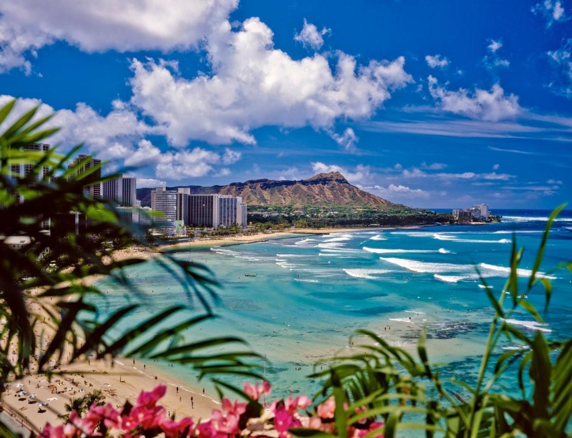 Great Diamond Head Views, 2Br Condo With Free Parking! Honolulu Ngoại thất bức ảnh